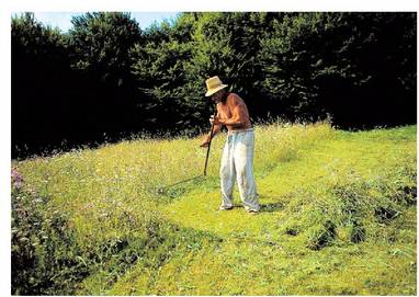 Errumaniako nekazari bat belarra ebakitzen. Hiri inguruneetako lur landu gehienak abereentzako bazkaleku bihurtu dira, baserriko lana eta hiriko industria eta enpresetako lana biak batera egin baititzake nekazariak horrela.<br><br>